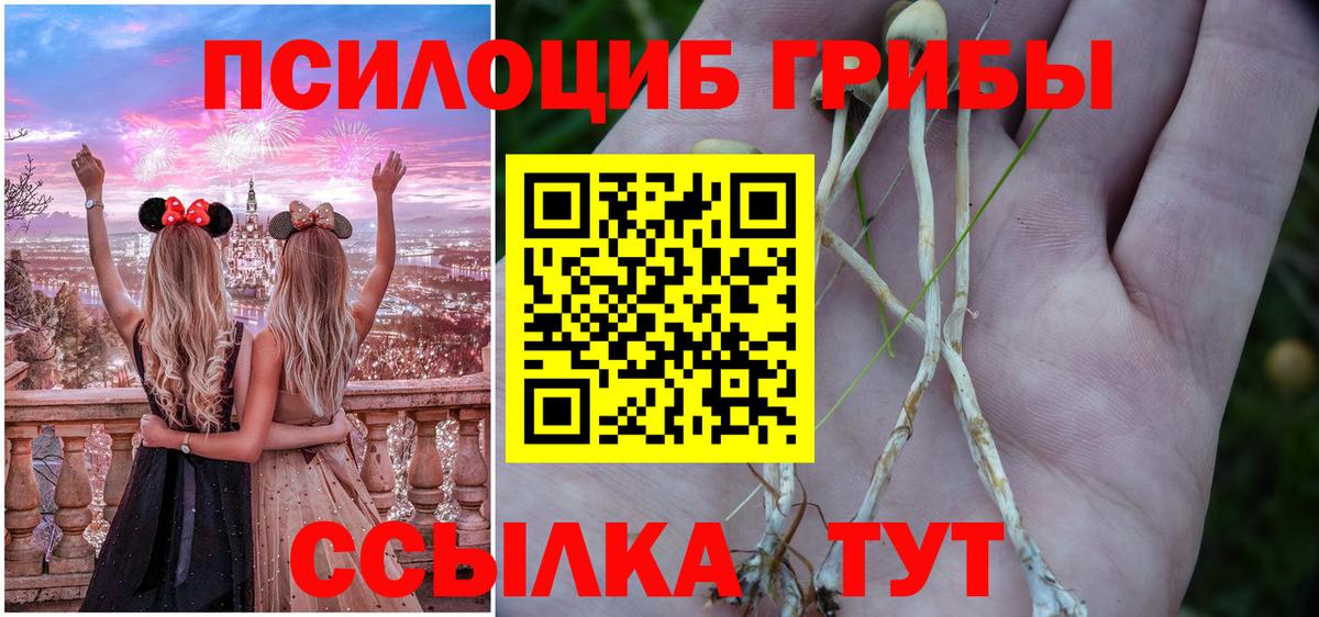Петропавловск-Камчатский  Галлюциногенные грибы MAGIC MUSHROOMS  Вход с VPN 