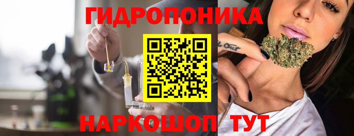 Бошки Шишки планчик Петропавловск-Камчатский
